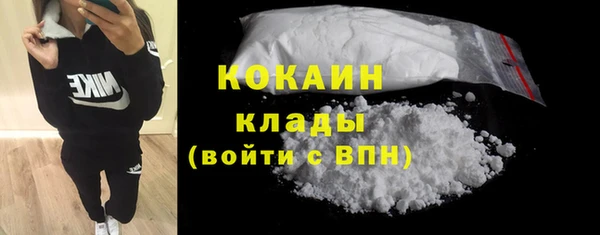 твердый Краснослободск