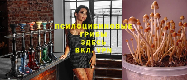 mdma Коряжма